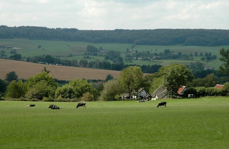 Natuur! Fietsen & Wandelen