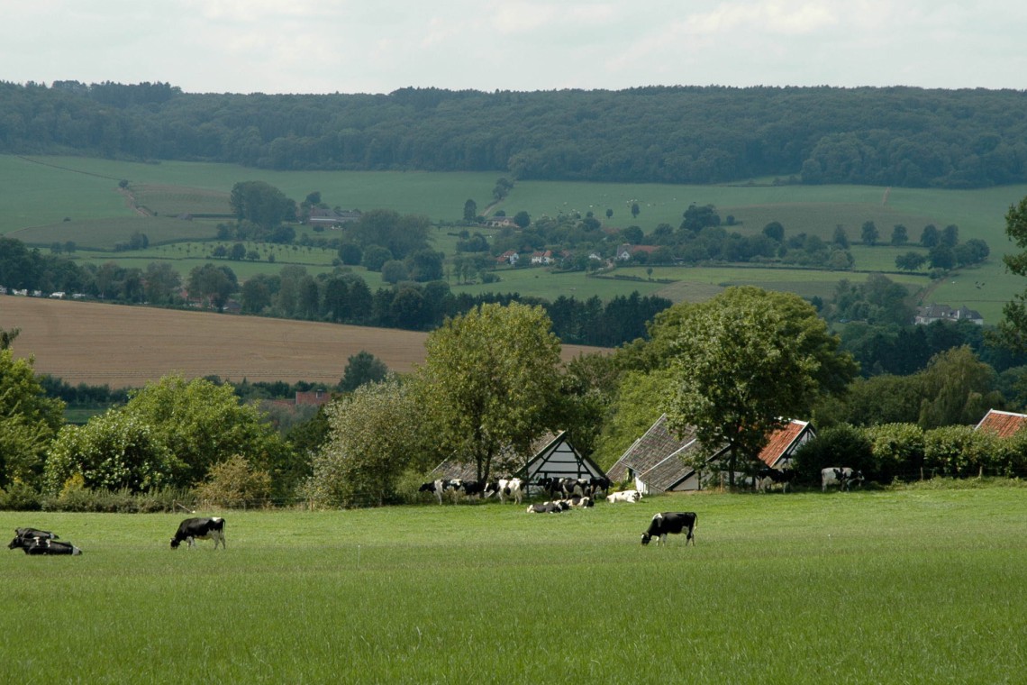 Natuur in Zuid-Limburg