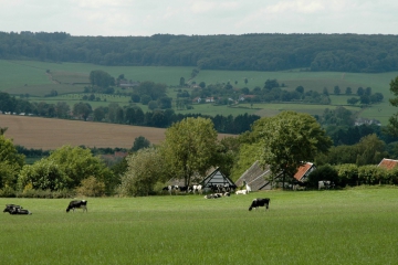 Natuur in Zuid-Limburg